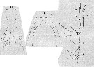 Espce Monstrilla conjunctiva - Planche 4 de figures morphologiques