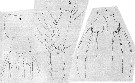 Species Cymbasoma thompsoni - Plate 9 of morphological figures