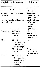 Espce Triconia dentipes - Planche 14 de figures morphologiques