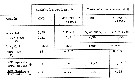 Espce Euchirella rostrata - Planche 41 de figures morphologiques