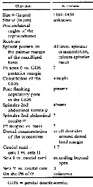 Espce Goniopsyllus rostratus - Planche 4 de figures morphologiques