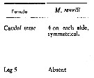 Espce Macandrewella sewelli - Planche 5 de figures morphologiques