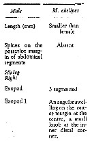 Espce Macandrewella chelipes - Planche 11 de figures morphologiques