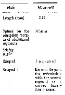 Espce Macandrewella sewelli - Planche 6 de figures morphologiques