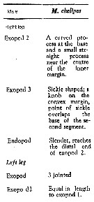 Espce Macandrewella chelipes - Planche 12 de figures morphologiques