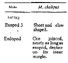 Espce Macandrewella chelipes - Planche 13 de figures morphologiques