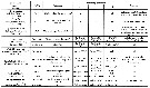 Espce Oithona similis-Group - Planche 38 de figures morphologiques