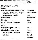 Espce Pseudodiaptomus lobipes - Planche 4 de figures morphologiques