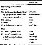 Espce Pseudodiaptomus mixtus - Planche 2 de figures morphologiques