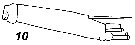 Espce Tortanus (Eutortanus) komachi - Planche 7 de figures morphologiques
