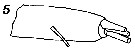 Espce Gaetanus simplex - Planche 8 de figures morphologiques