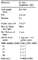 Espce Oithona nana - Planche 29 de figures morphologiques