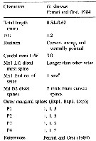 Espce Oithona davisae - Planche 8 de figures morphologiques