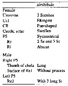 Espce Labidocera sinilobata - Planche 8 de figures morphologiques