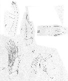 Espce Candacia bradyi - Planche 8 de figures morphologiques