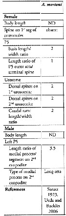 Espce Acartia (Odontacartia) mertoni - Planche 4 de figures morphologiques