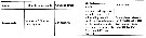 Espce Tortanus (Atortus) recticaudus - Planche 5 de figures morphologiques
