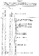 Espce Euchirella messinensis - Planche 81 de figures morphologiques