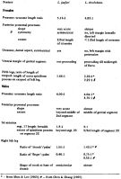 Espce Labidocera sinilobata - Planche 2 de figures morphologiques