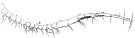 Espce Temora stylifera - Planche 12 de figures morphologiques