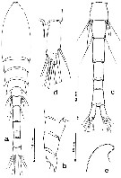 Species Hyalopontius boxshalli - Plate 1 of morphological figures