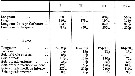 Espce Oithona dissimilis - Planche 6 de figures morphologiques
