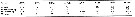 Espce Monstrillopsis dubioides - Planche 3 de figures morphologiques