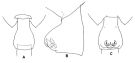 Espce Paraeuchaeta pseudotonsa - Planche 3 de figures morphologiques
