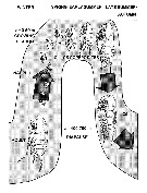 Espce Neocalanus plumchrus - Planche 21 de figures morphologiques