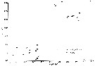 Espce Clausocalanus mastigophorus - Planche 12 de figures morphologiques