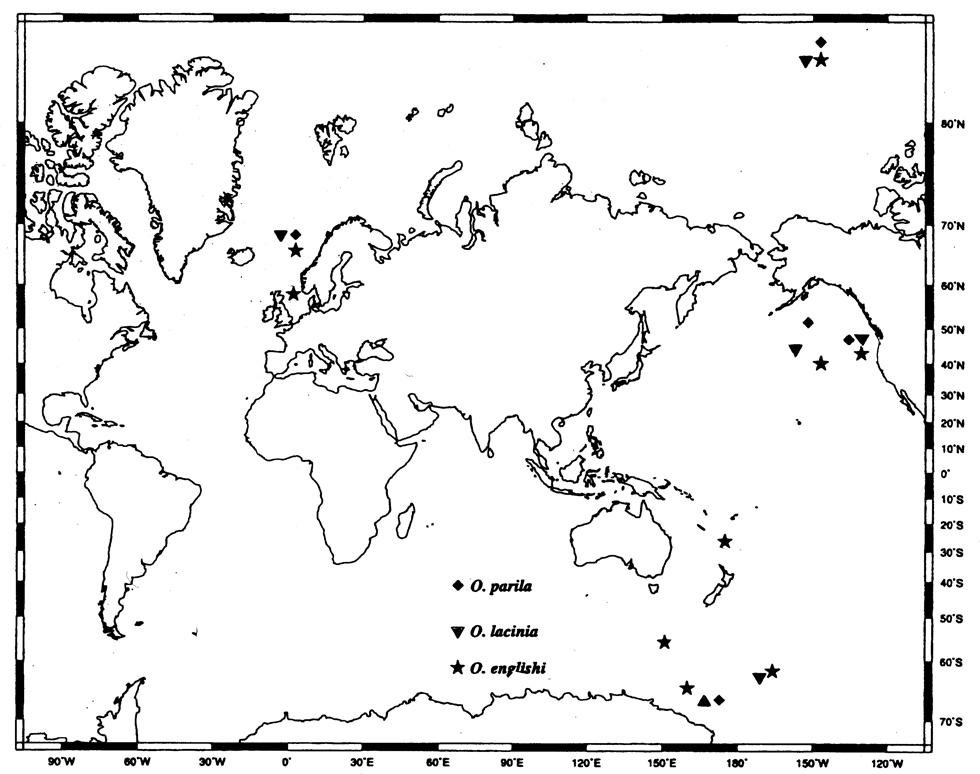 Species Oncaea parila - Distribution map 3