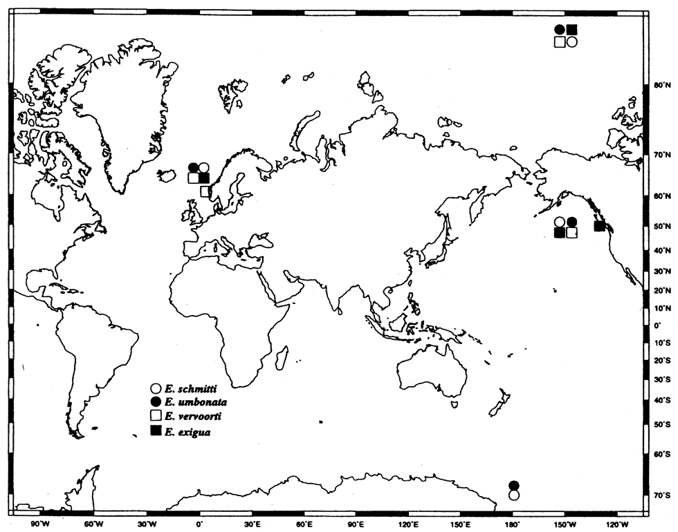 Species Epicalymma exigua - Distribution map 4