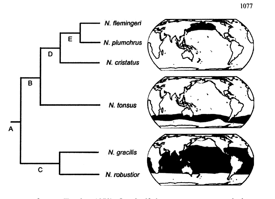 Espèce Neocalanus gracilis - Carte de distribution 4