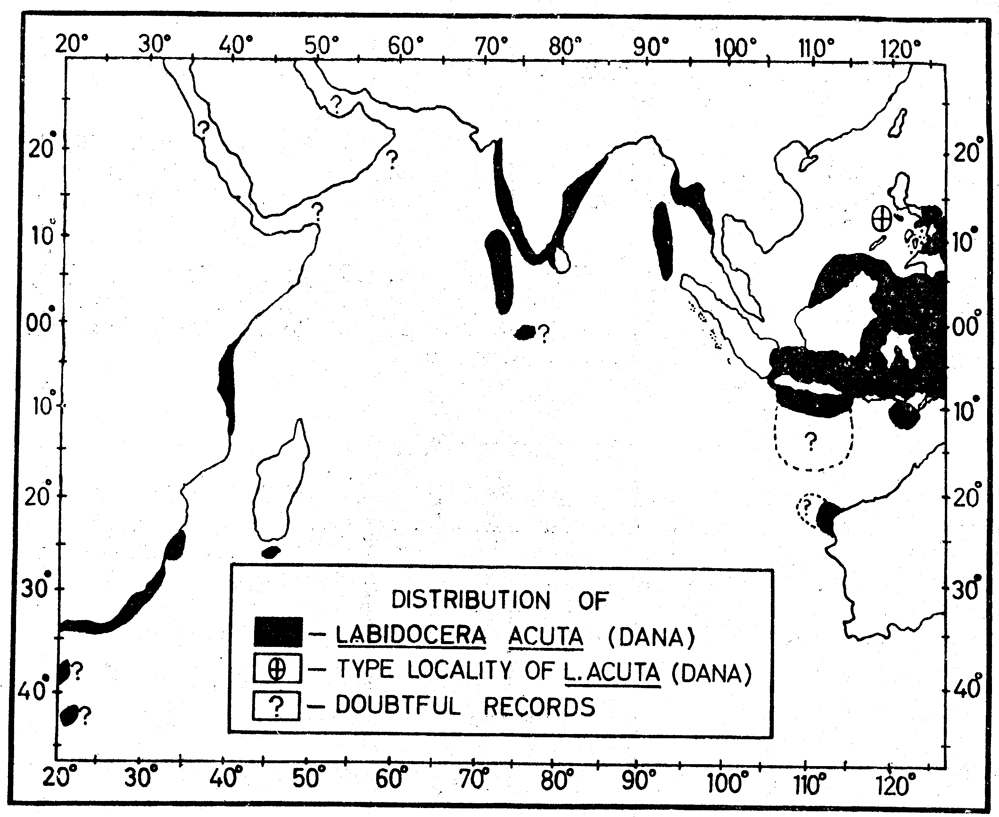 Espce Labidocera acuta - Carte de distribution 4