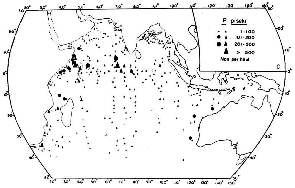 Species Pleuromamma piseki - Distribution map 4