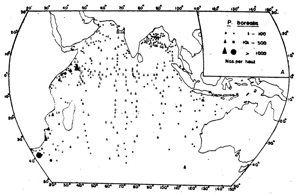 Species Pleuromamma borealis - Distribution map 4