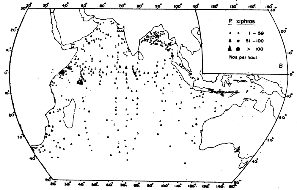 Species Pleuromamma xiphias - Distribution map 4