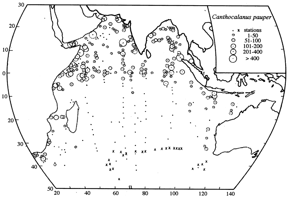 Species Canthocalanus pauper - Distribution map 3