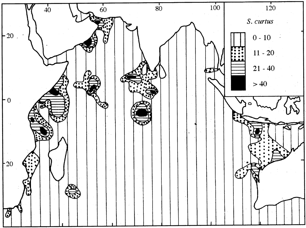 Species Scaphocalanus curtus - Distribution map 4