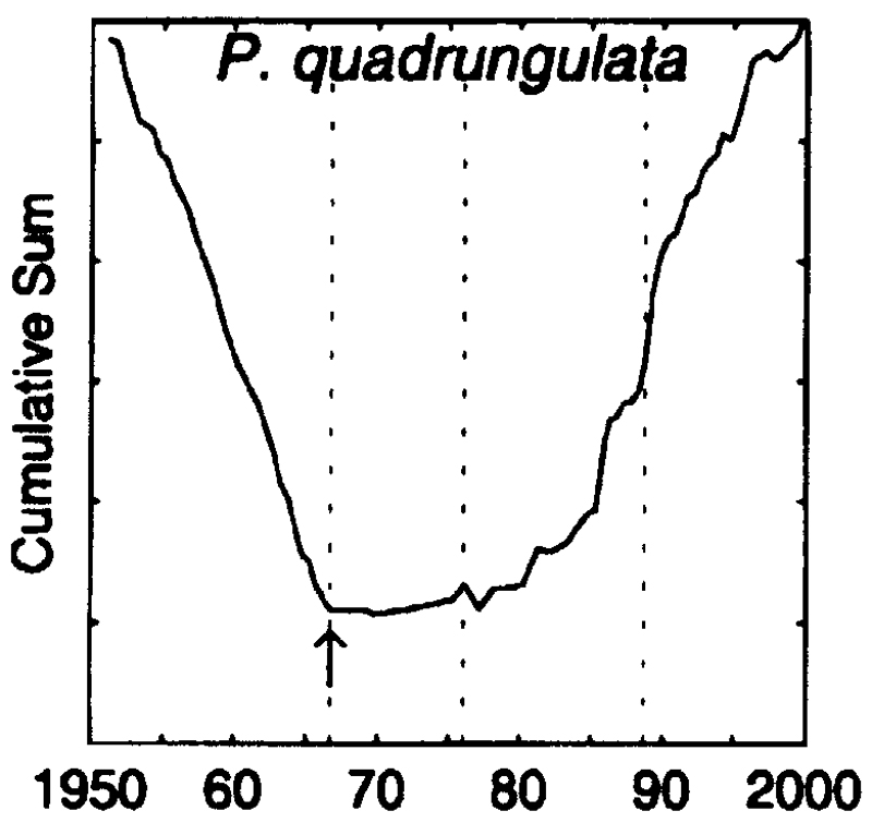 Species Pleuromamma quadrungulata - Distribution map 4