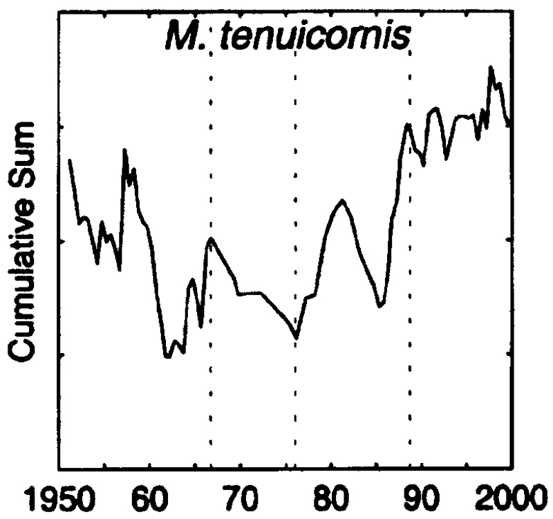 Espce Mesocalanus tenuicornis - Carte de distribution 5