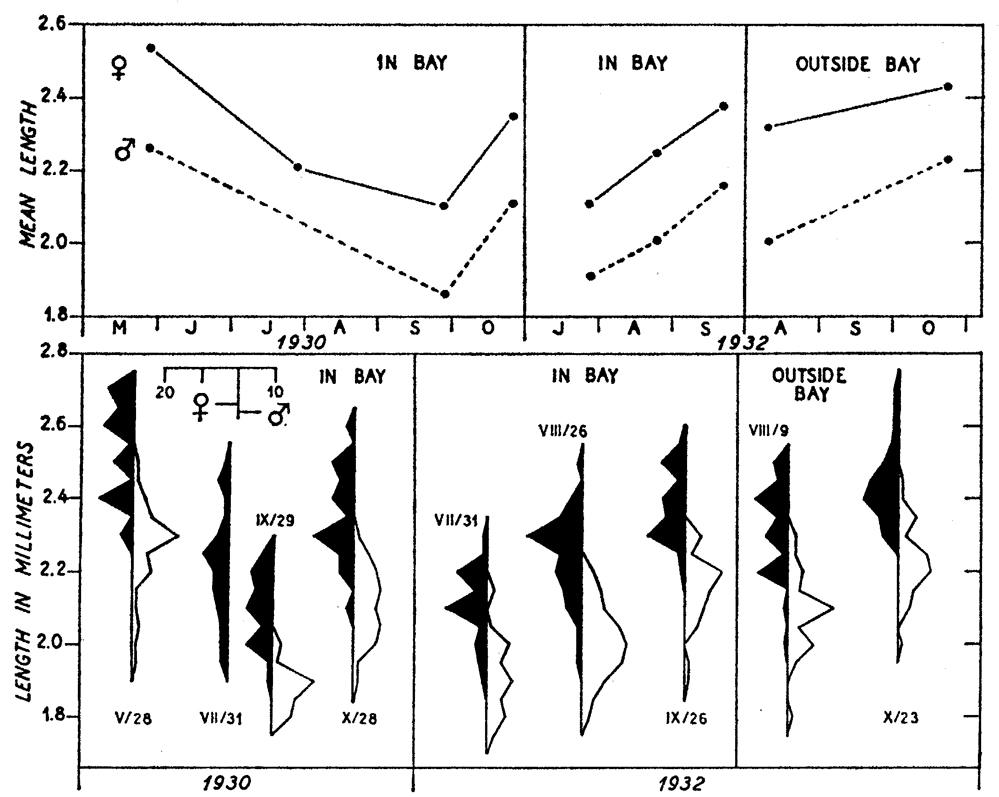 Species Labidocera aestiva - Distribution map 3
