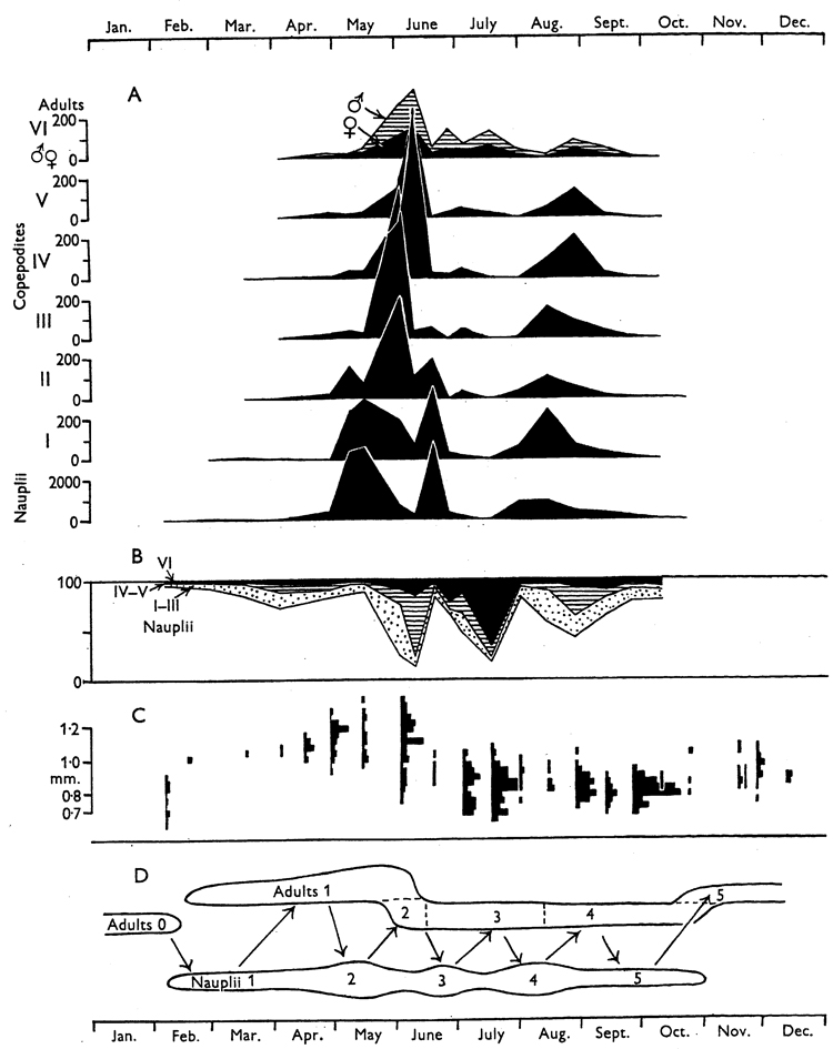 Species Temora longicornis - Distribution map 5