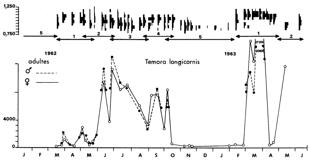 Espce Temora longicornis - Carte de distribution 7