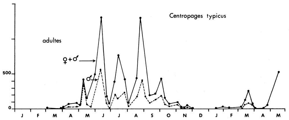 Espèce Centropages typicus - Carte de distribution 9