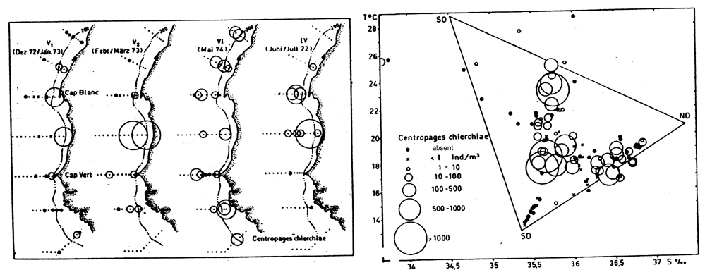 Species Centropages chierchiae - Distribution map 5