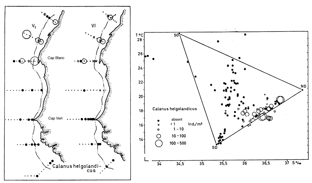 Species Calanus helgolandicus - Distribution map 6