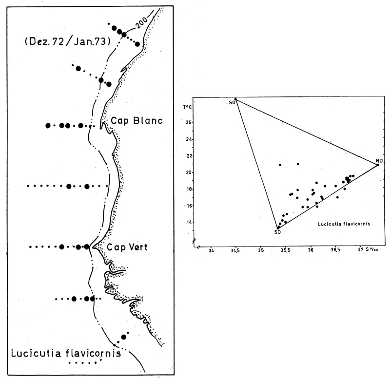 Espce Lucicutia flavicornis - Carte de distribution 8