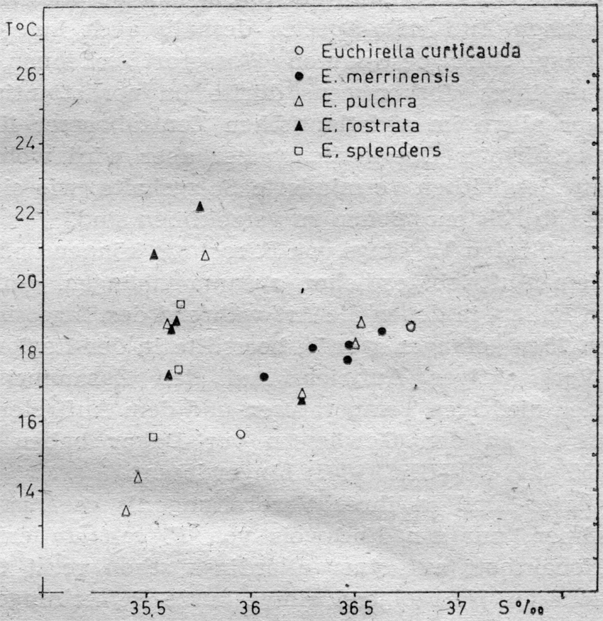 Espèce Euchirella pulchra - Carte de distribution 3