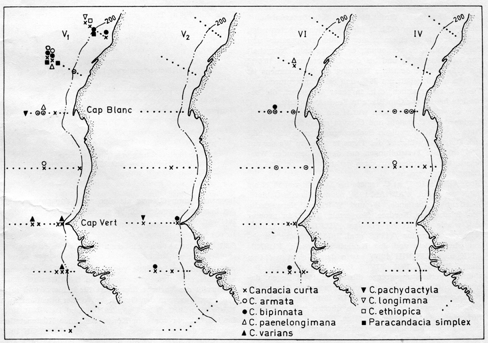 Espèce Candacia longimana - Carte de distribution 6